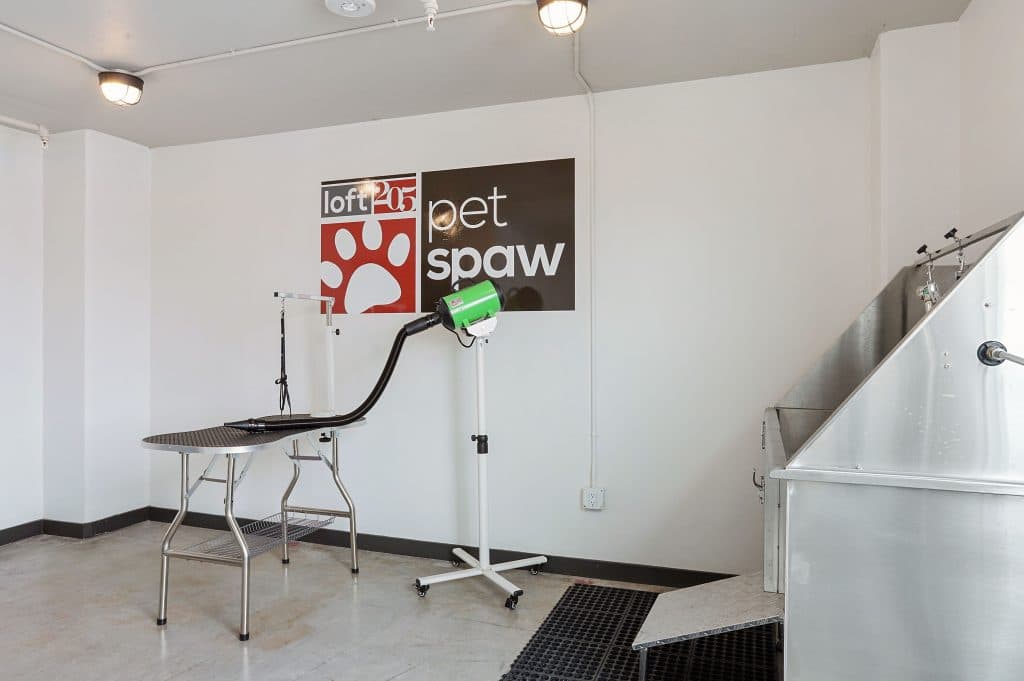 Loft 205 Image 18