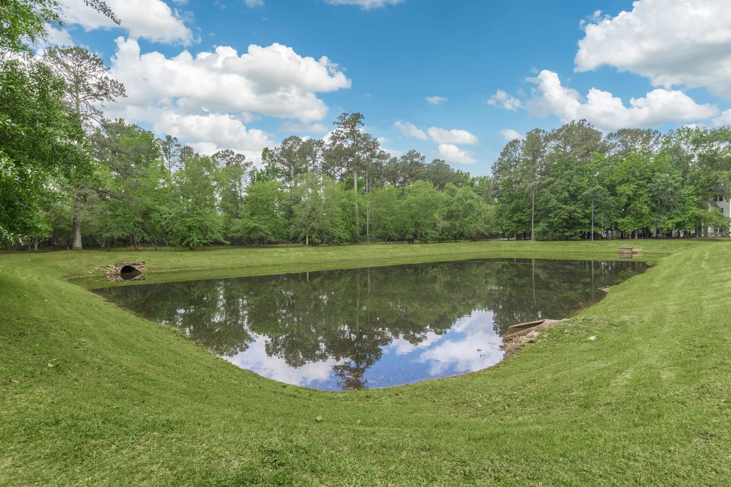 Birchwood Park Image 14