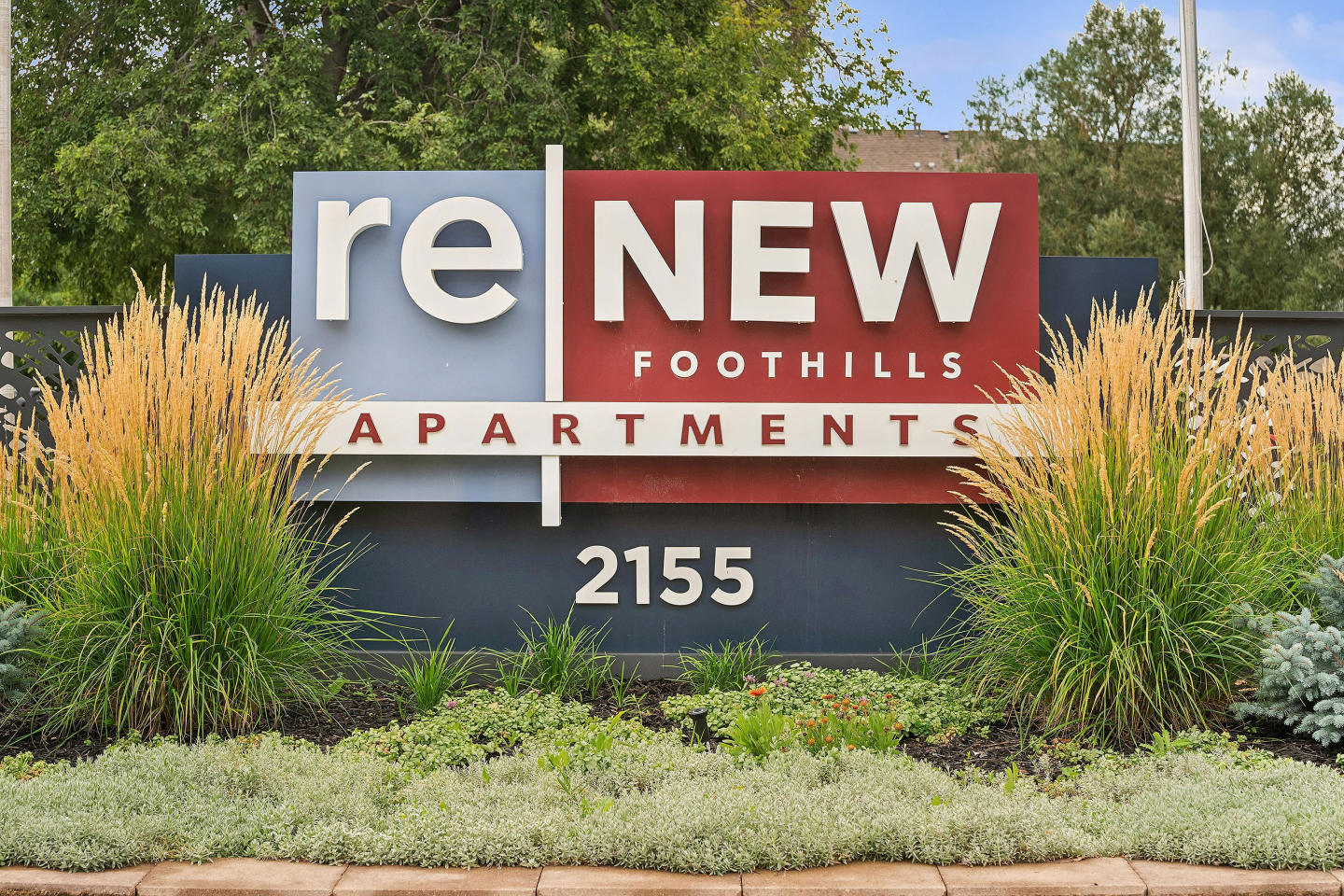 ReNEW Foothills Image 5