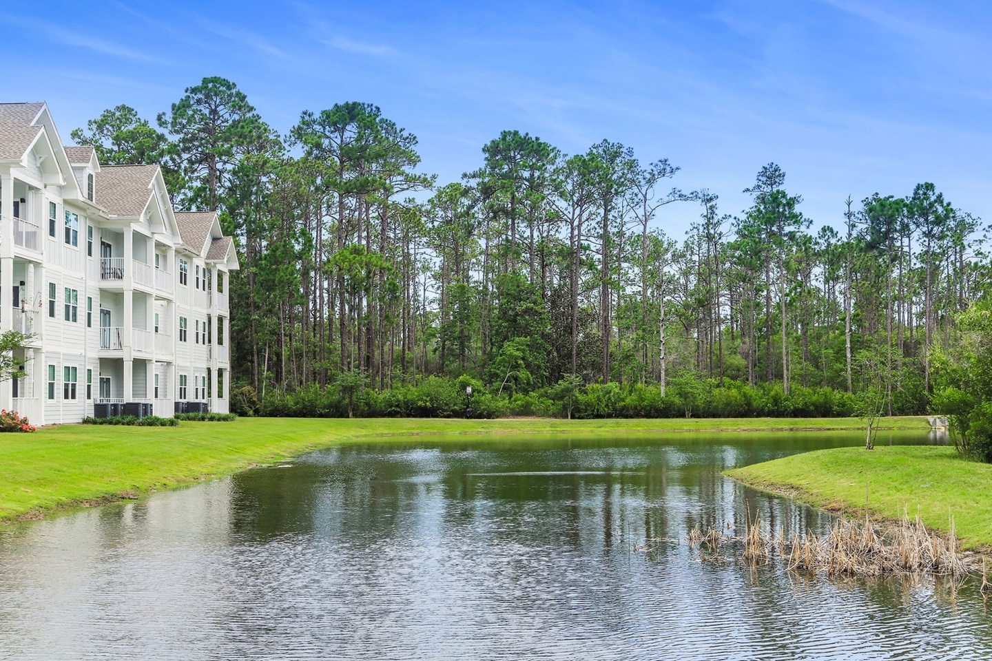 The Southern at Santa Rosa Beach Image 5