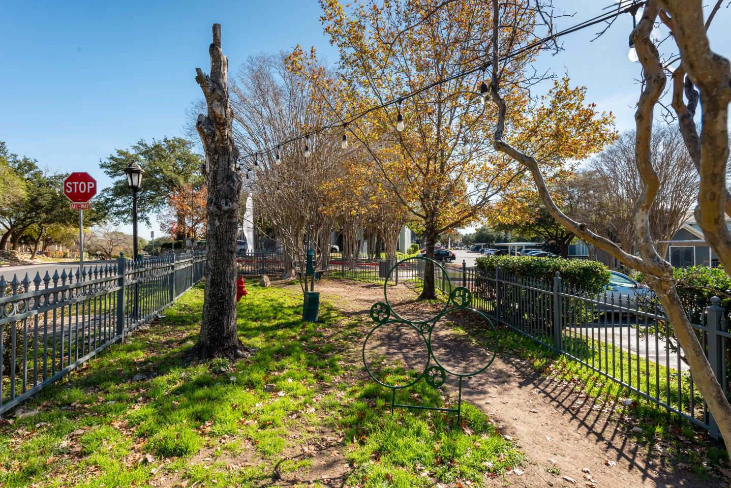 Grove at Northwest Hills Image 20