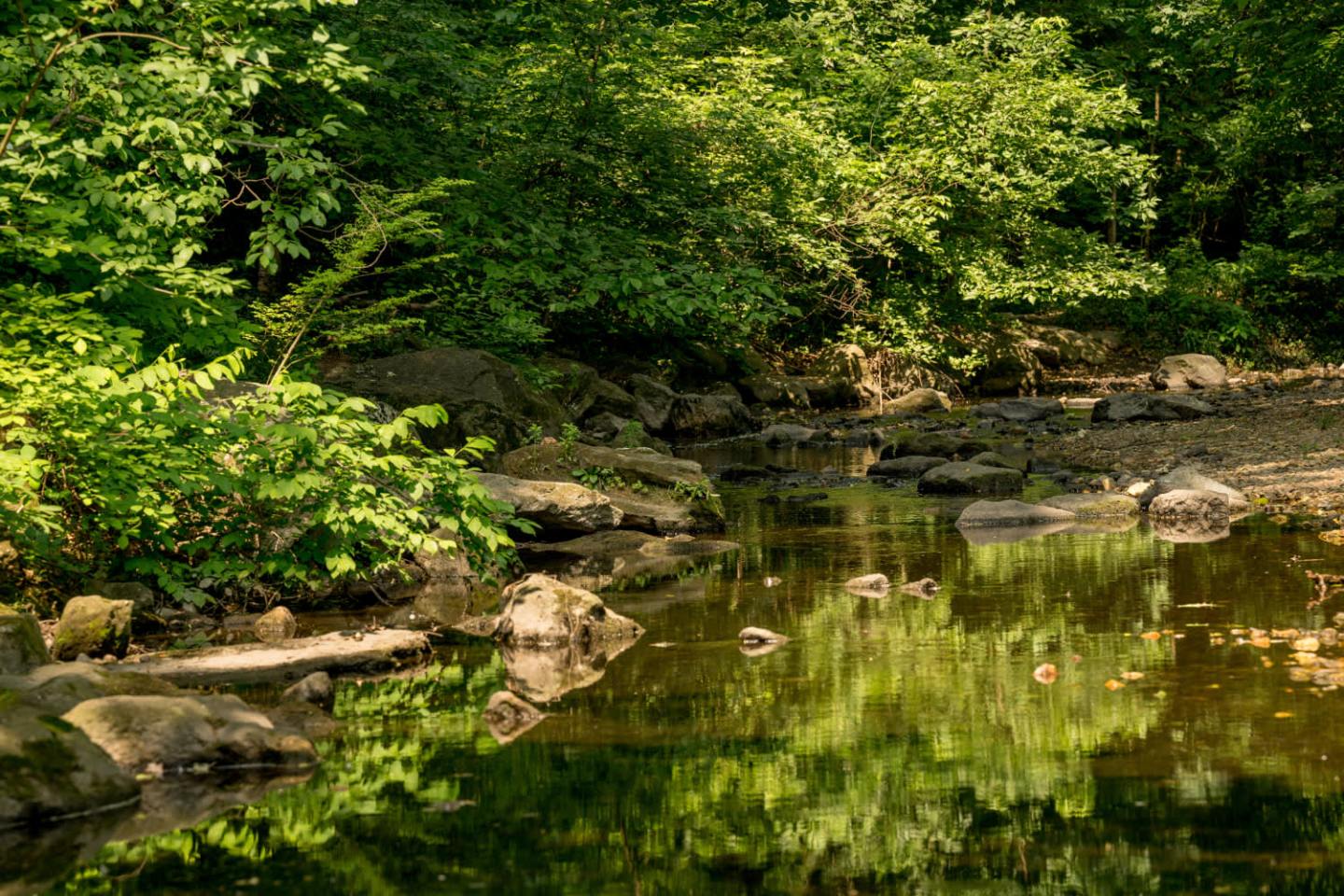 Atwell on Spring Image 33