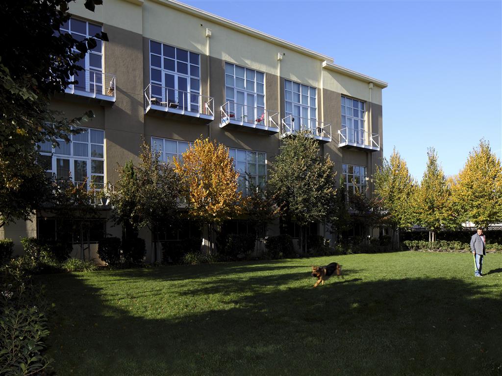 Museum Park Image 5