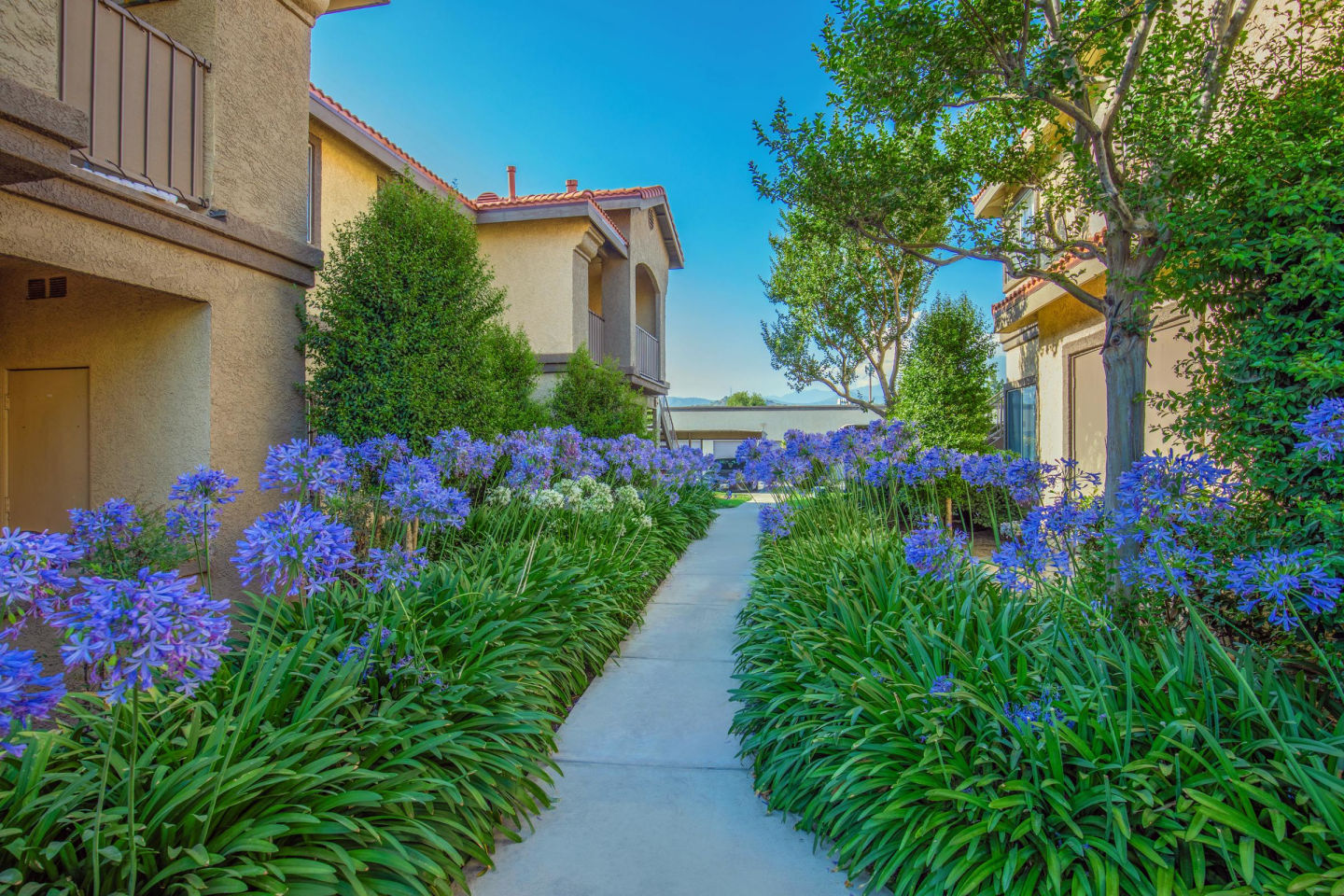 Club Pacifica Image 53