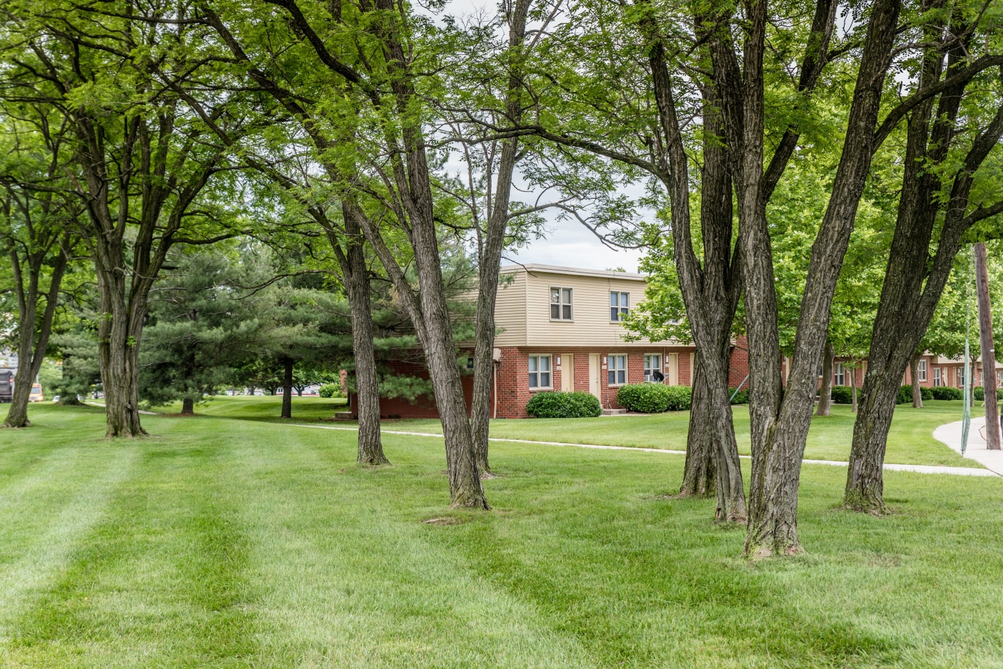 Middle Branch Image 14