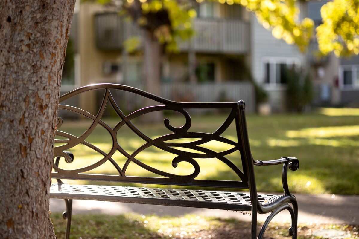 McClellan Terrace, A Prometheus Neighborhood Image 10