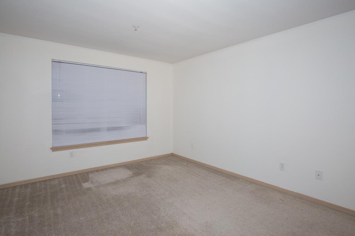 Clearwater and Star Apartments Image 70