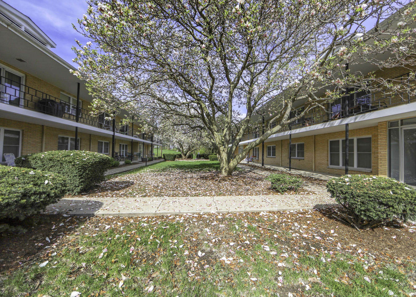 RVP Image 6