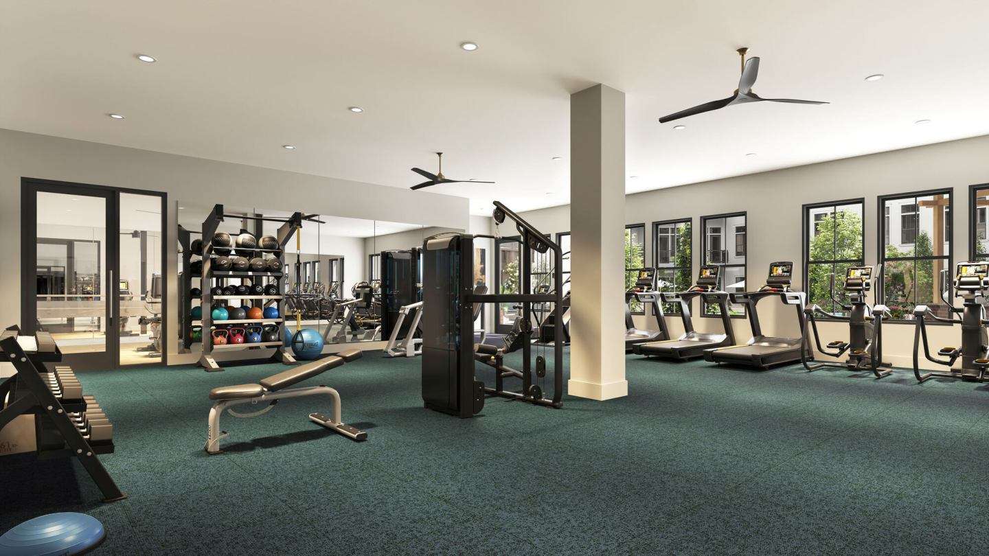 Solis Birkdale Image 9