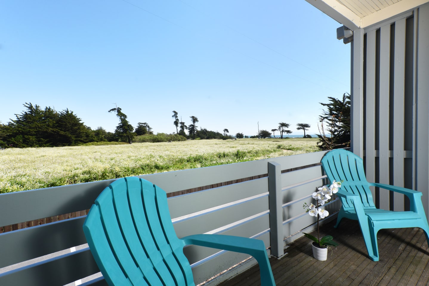 Oceanview Apartments Image 13