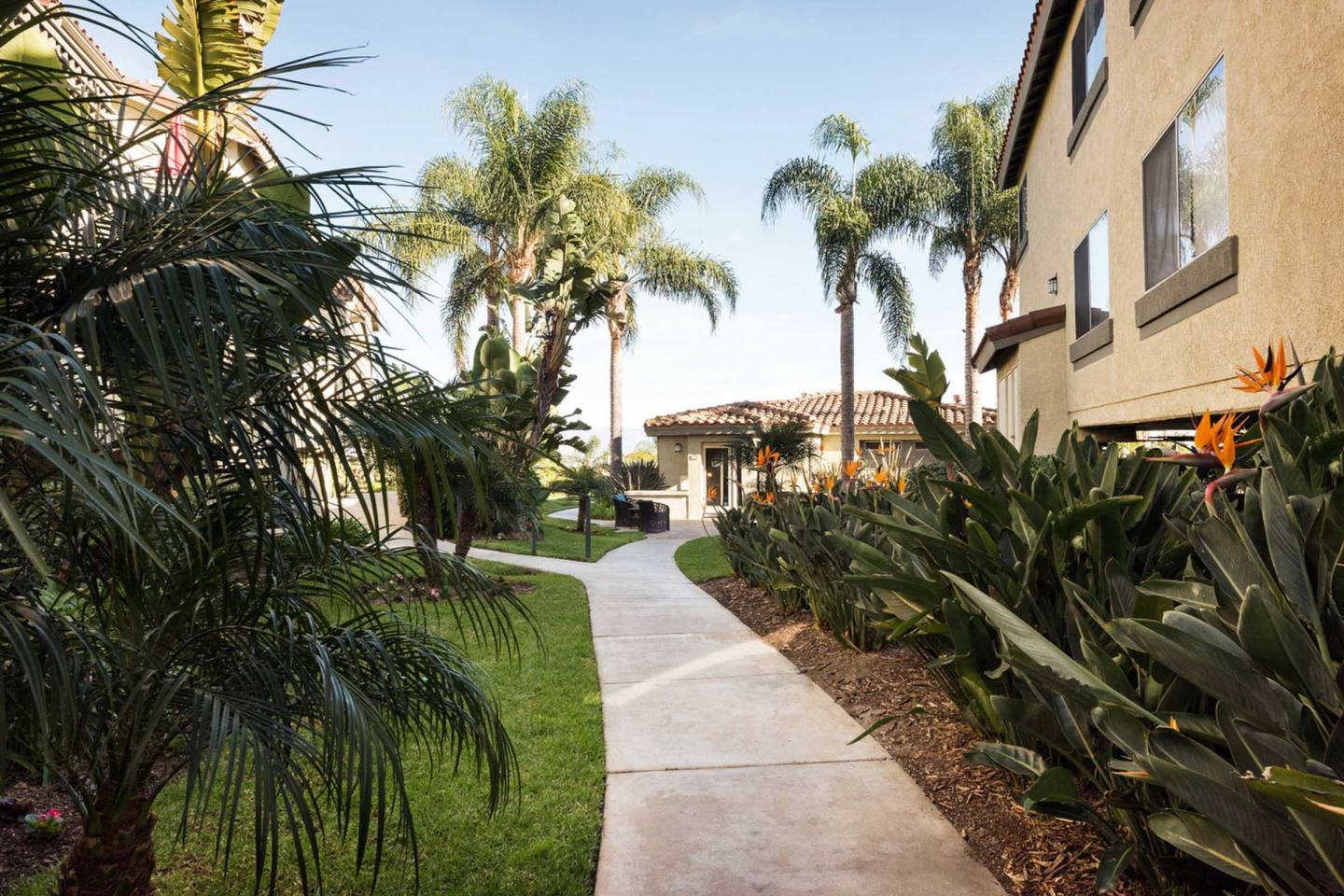 Elan Overlook Laguna Apartments Image 15