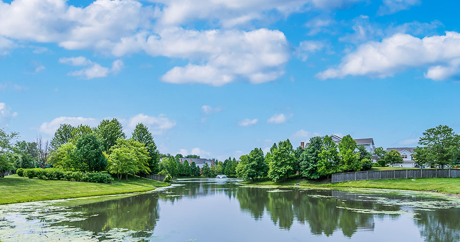 The Grove at Schaumburg Image 38