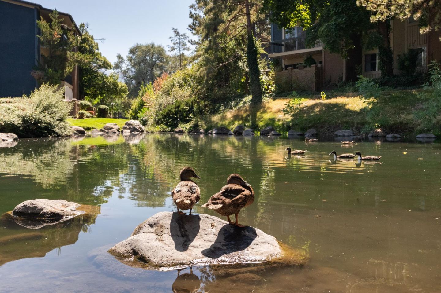 Cobble Creek Image 14