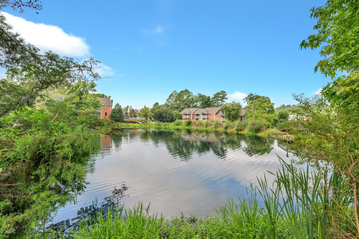 Turtle Lake Image 26