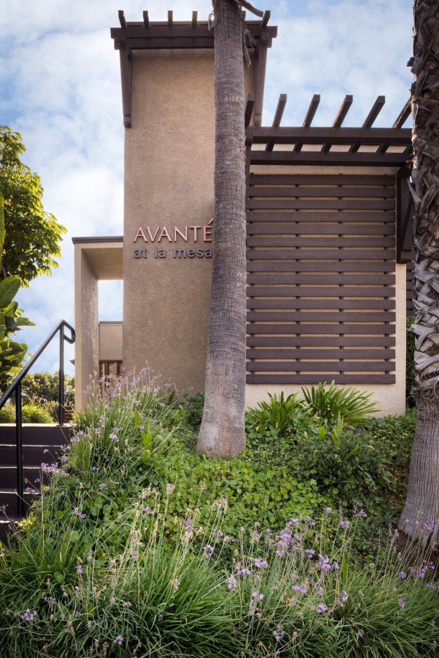 Elán Avante Apartment Homes Image 23