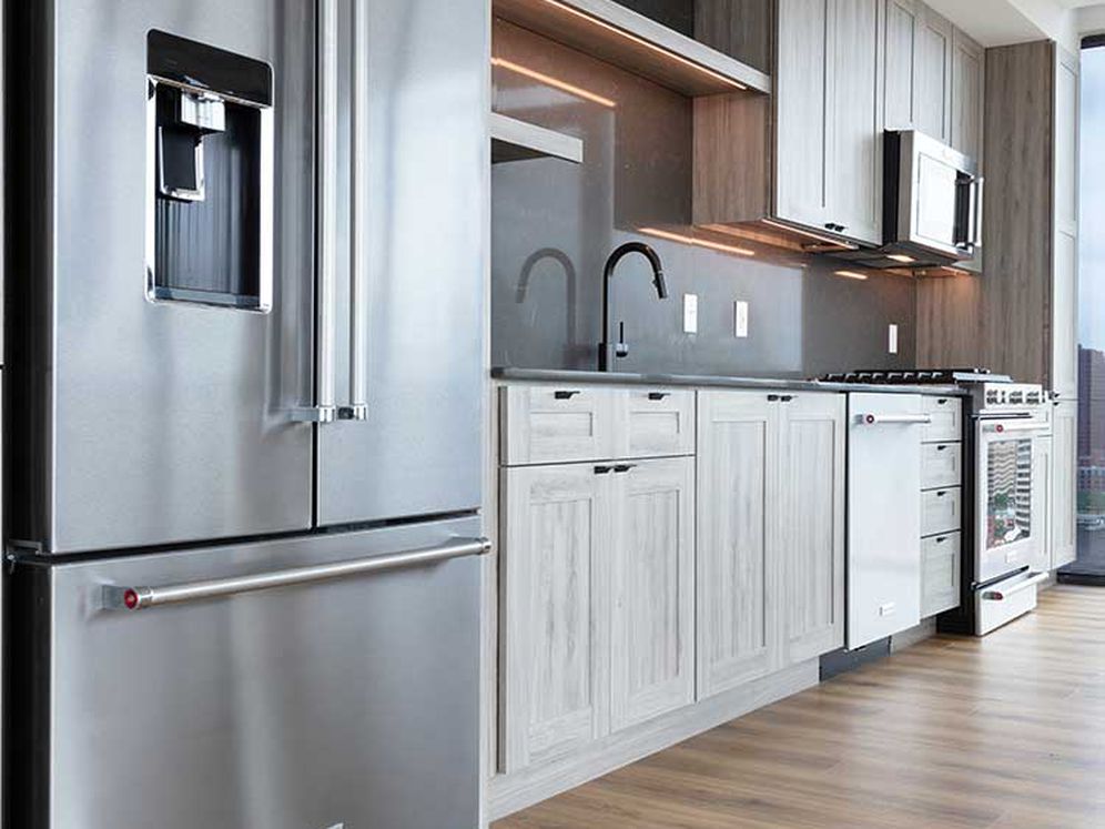 Avalon 555 President Image 3