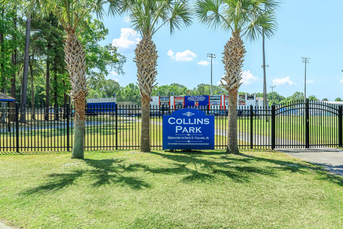 Collins Park Image 10