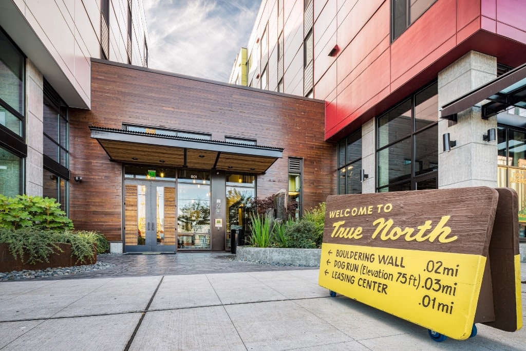 True North Image 9