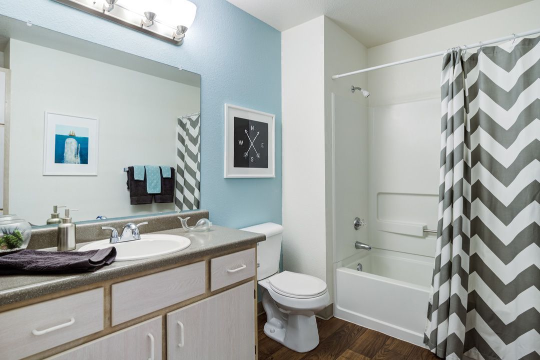 Village at Cascade Park Apartments Image 7