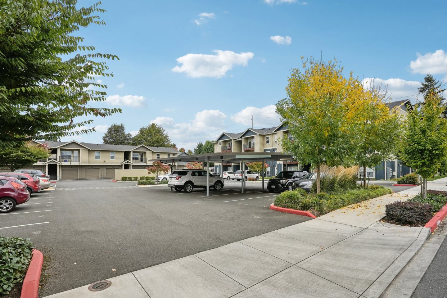 Ava Apartments Image 3