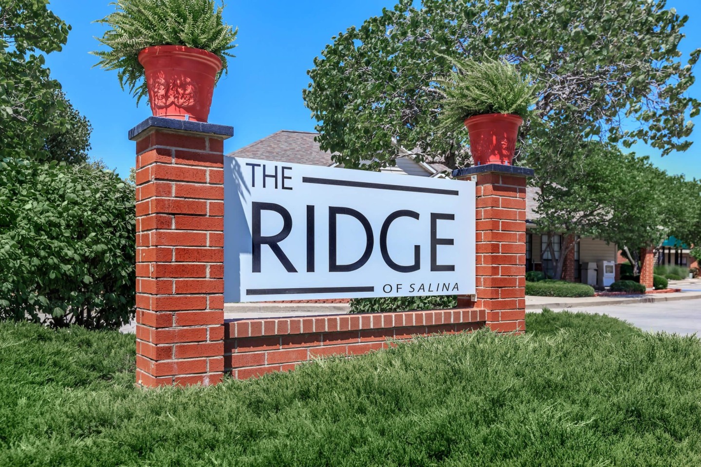 The Ridge of Salina Image 36