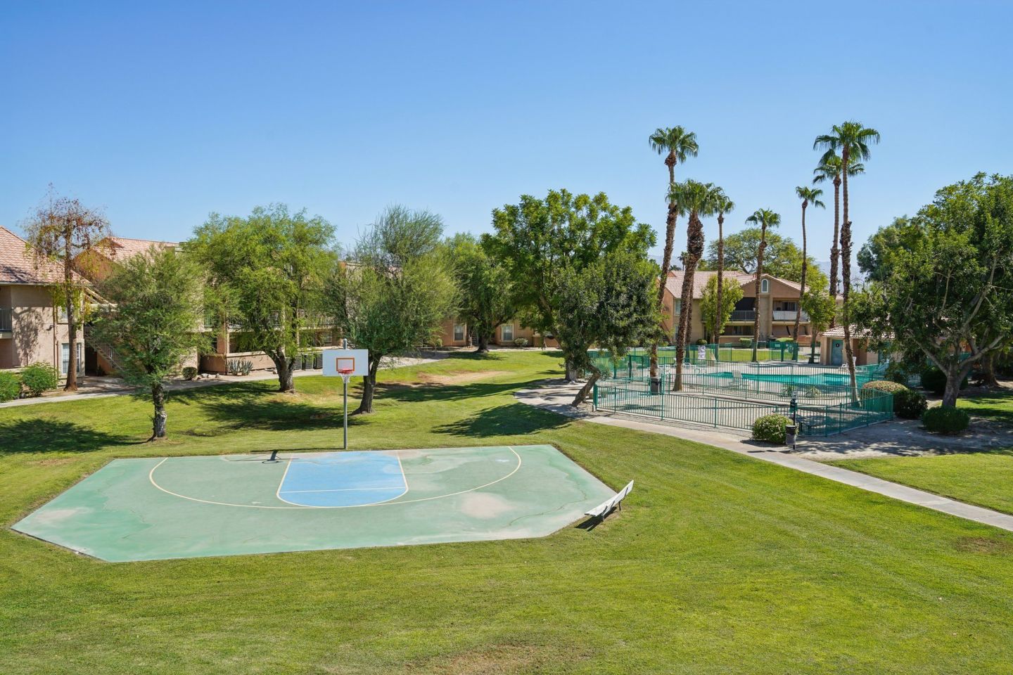 Desert Oasis Image 17