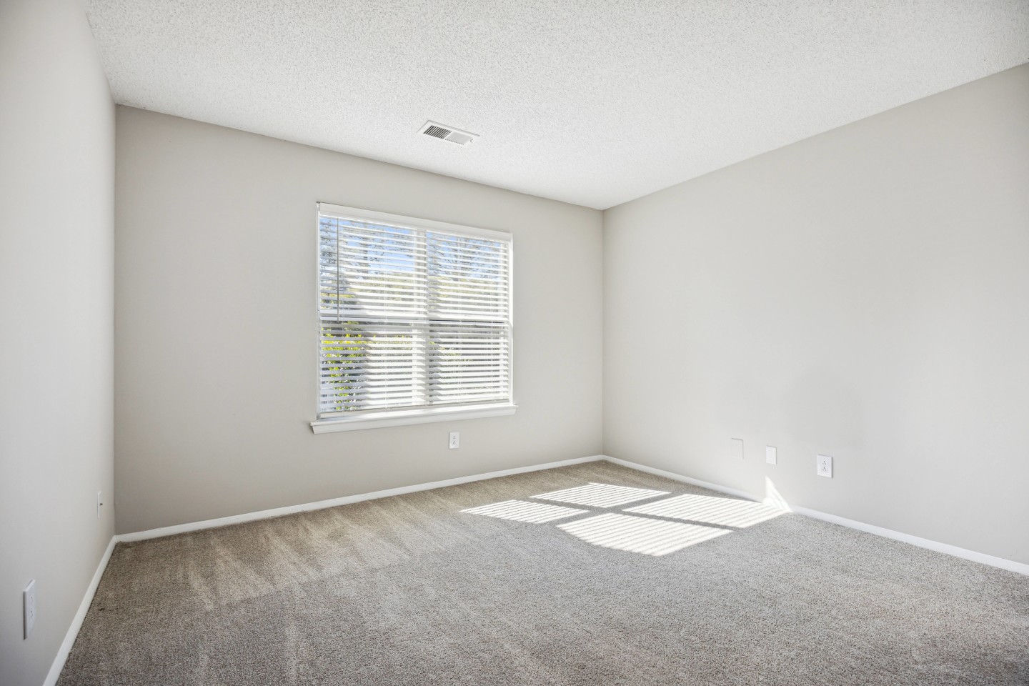Mallard Creek Image 61