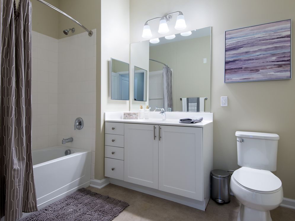 Avalon Somers Image 5