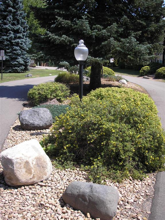 Cedar Manor Apartments Image 16
