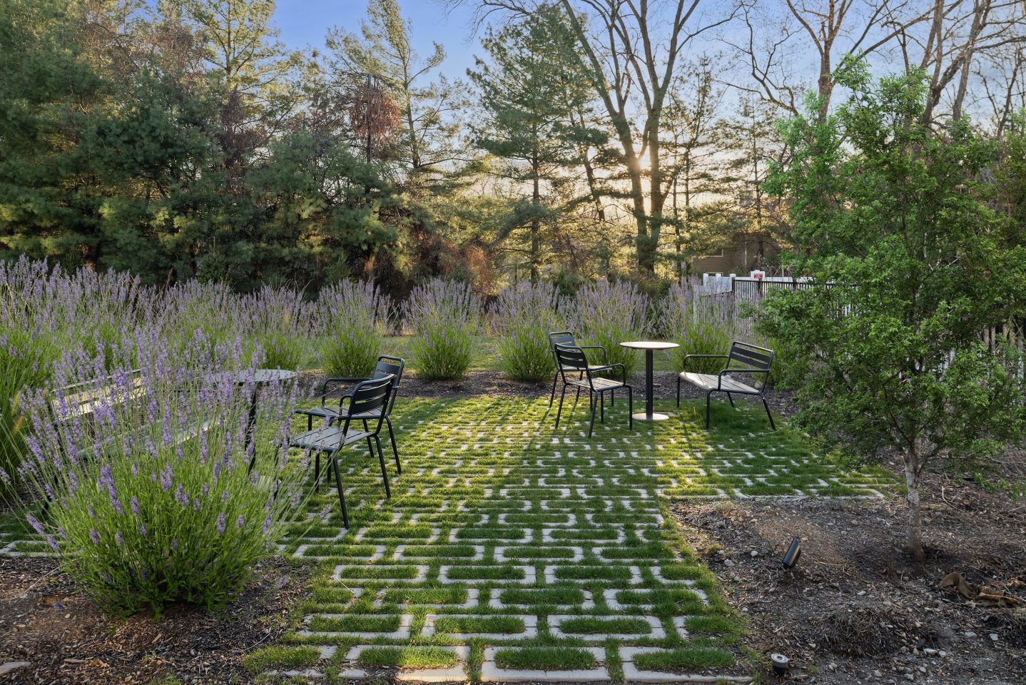 Park & Arbor Image 36