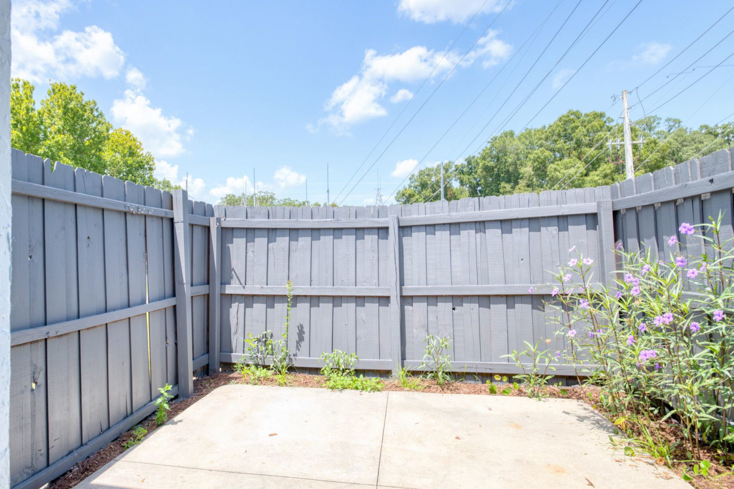The Piquette Apartments Image 11
