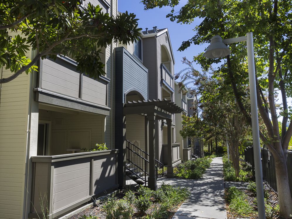 Avalon Campbell Image 30