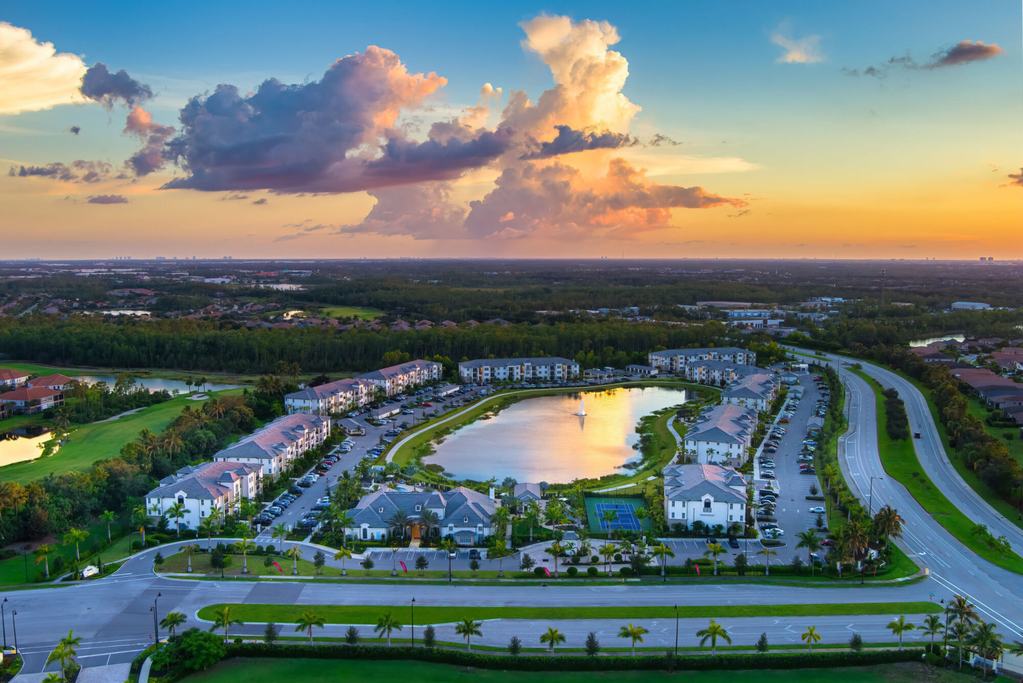 Town Treeline Image 30