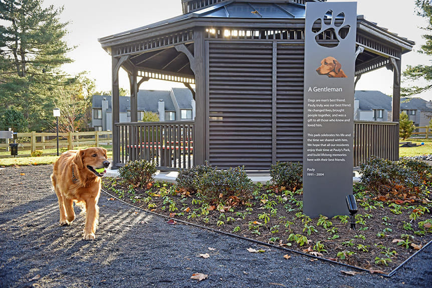 Blue Bell Villas Image 9