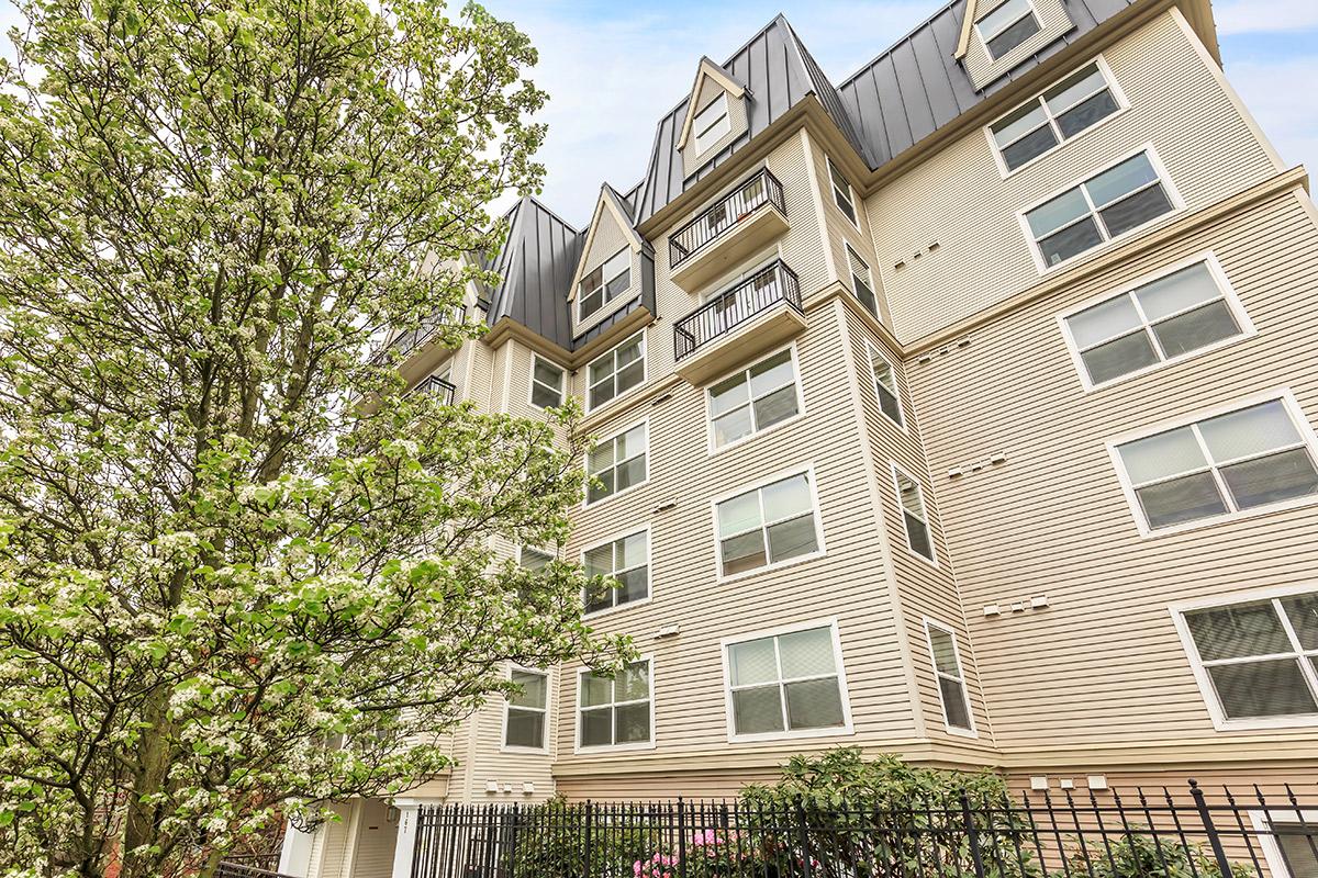 Clearwater and Star Apartments Image 7