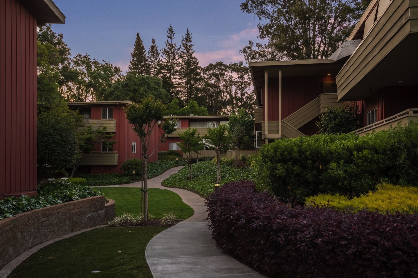 Bay Tree Image 12