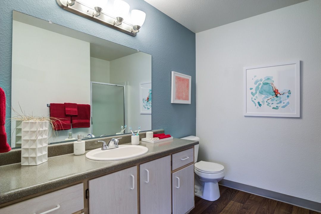 Village at Cascade Park Apartments Image 10