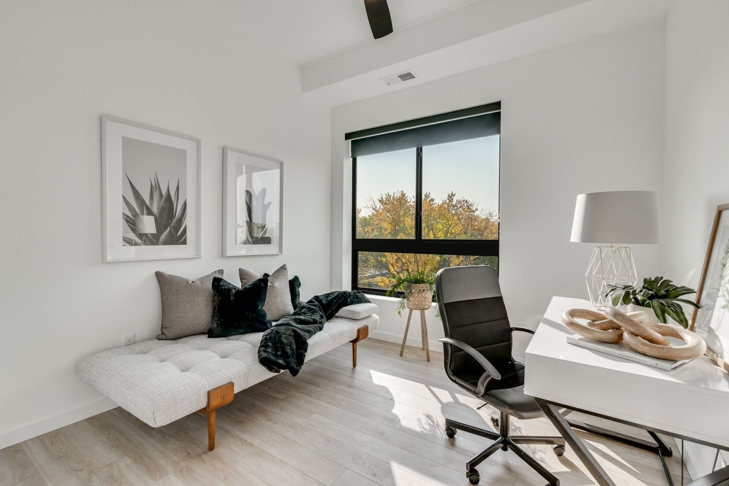 Linden Flats Image 6