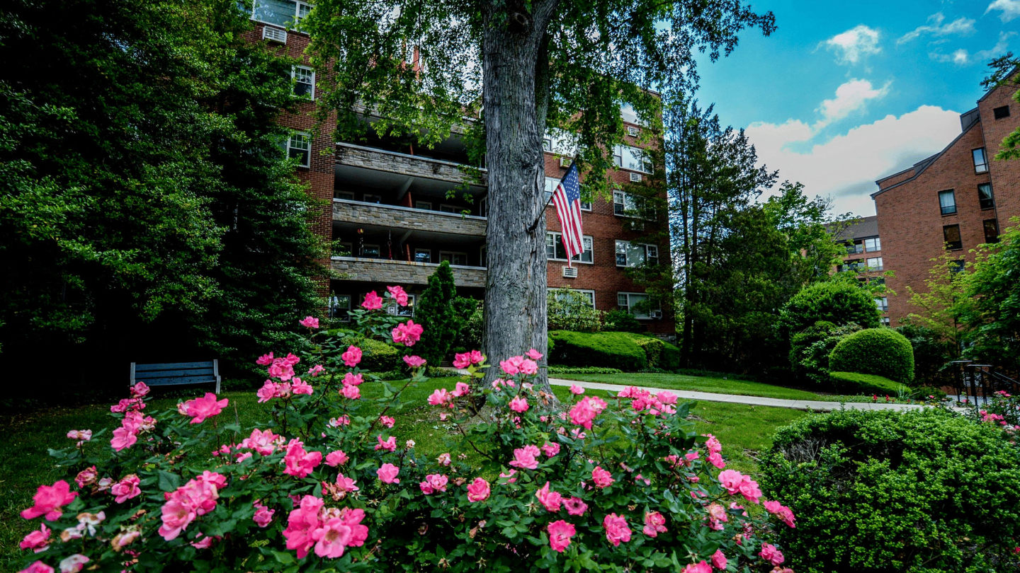 429 Apartments Image 8