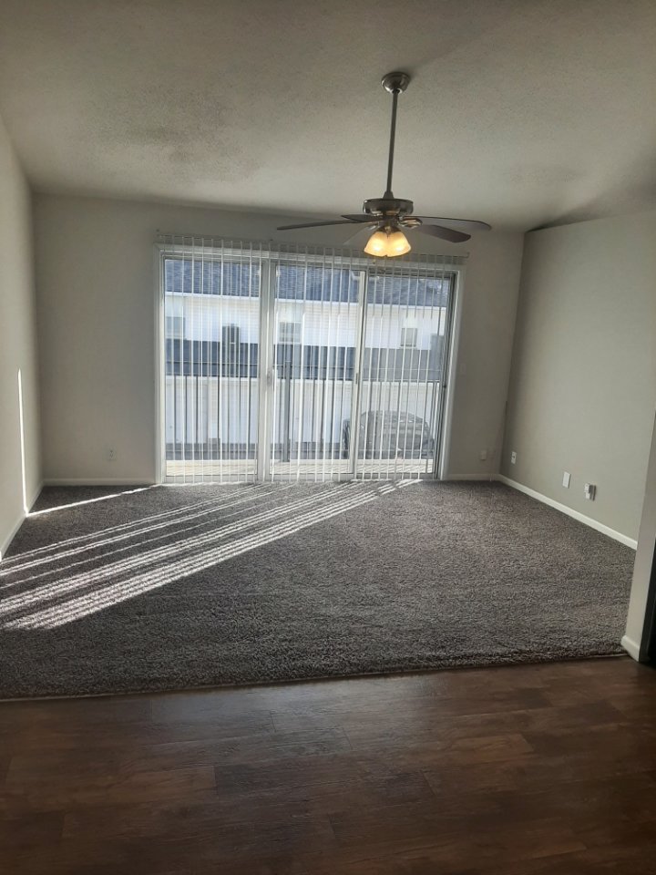 Pinegate Apartments Image 23