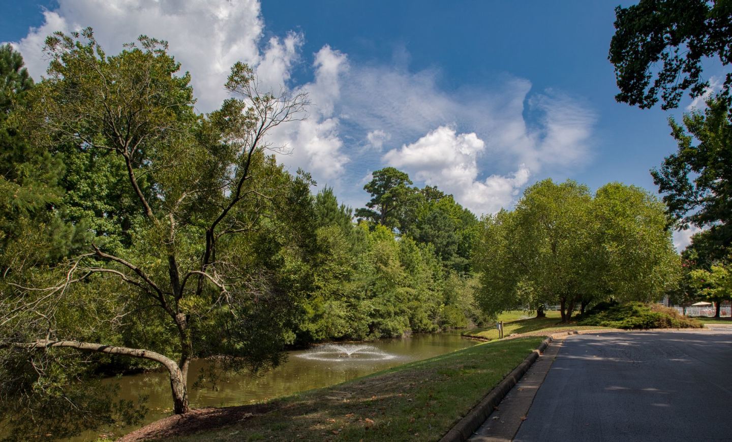 Hunter's Mill Apartments Image 10