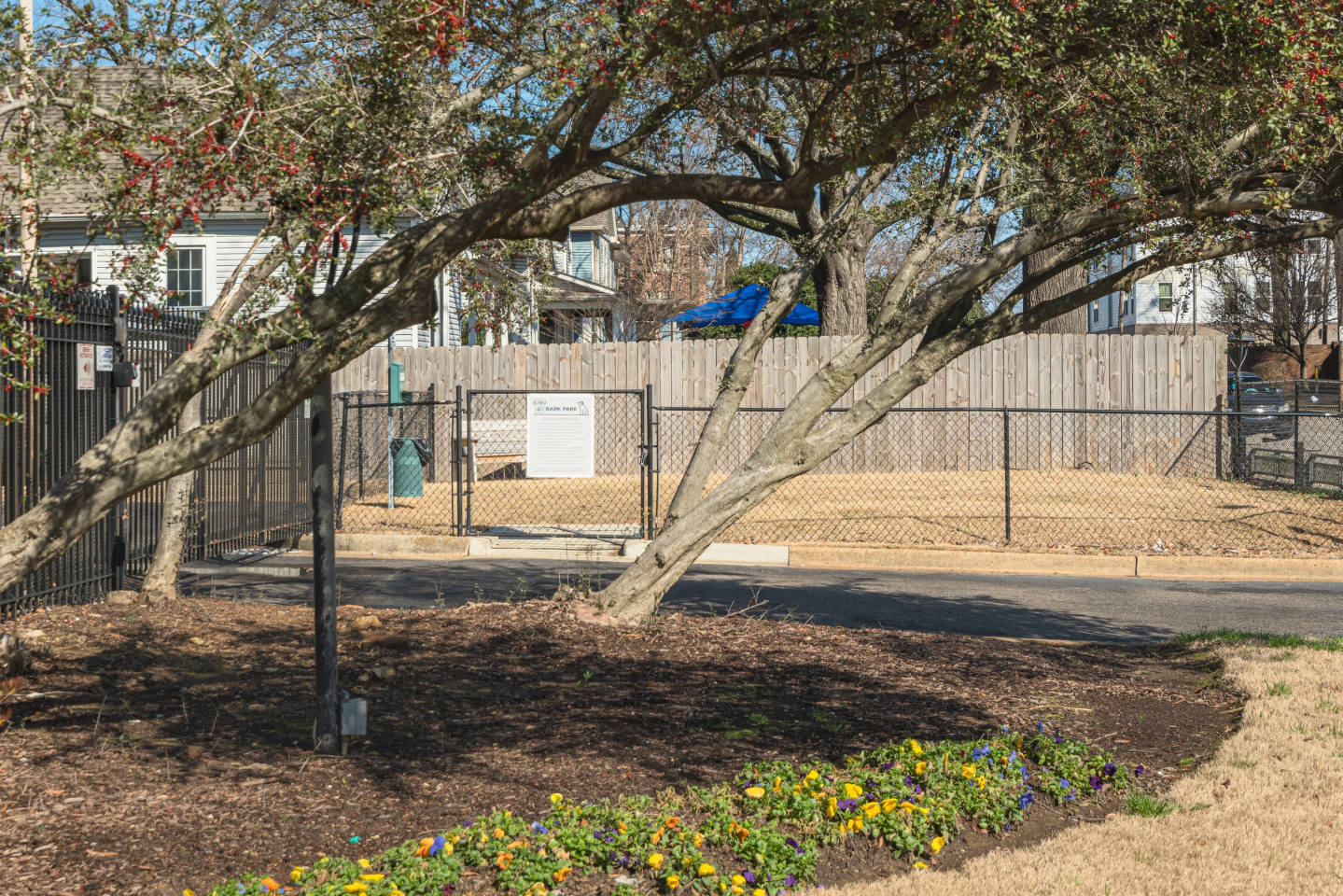 Idlewild 45 Image 22