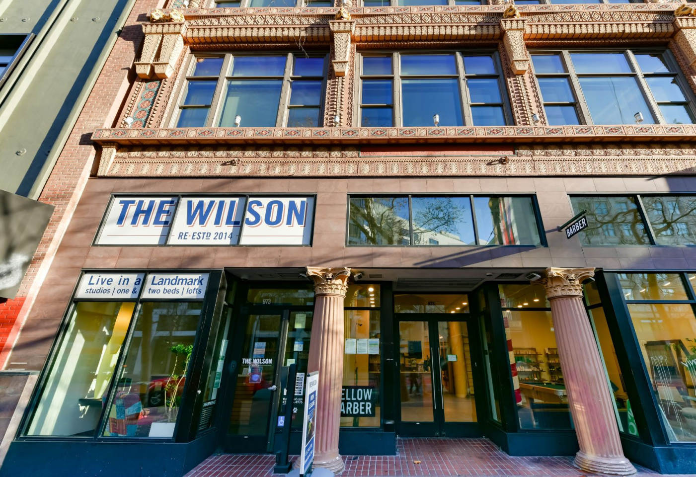 The Wilson Image 11