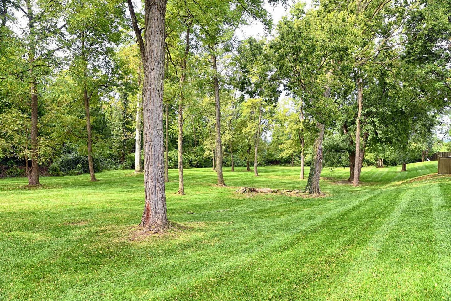 Woodlawn Village Image 14