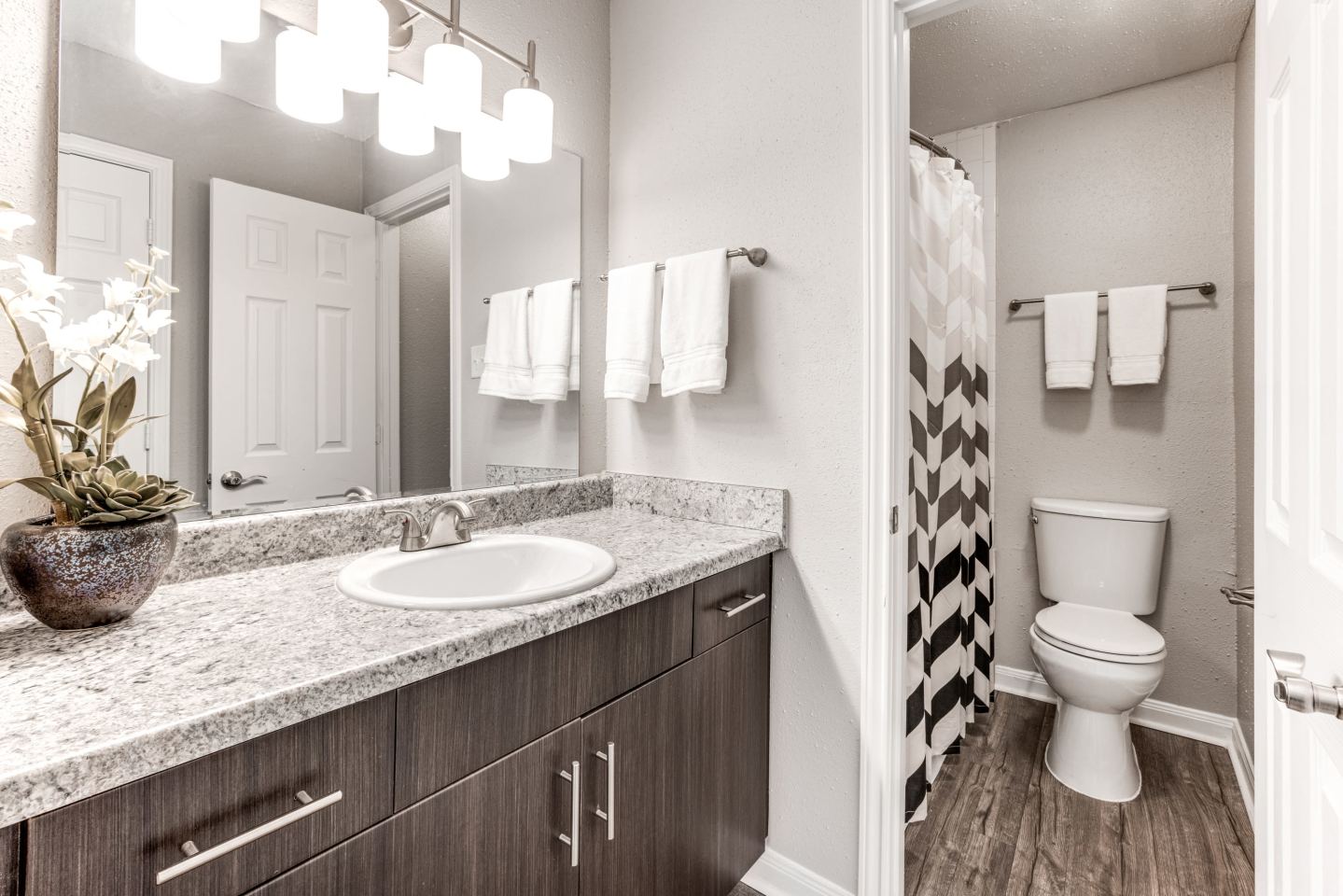 The Veridian at Bellevue Image 6