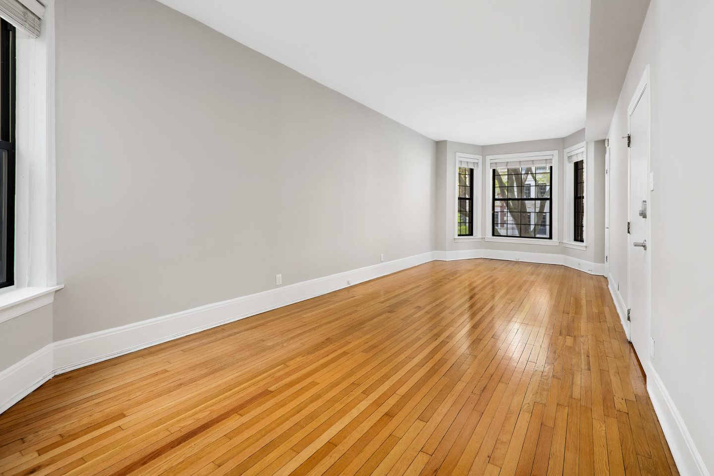 429 West Melrose Image 5
