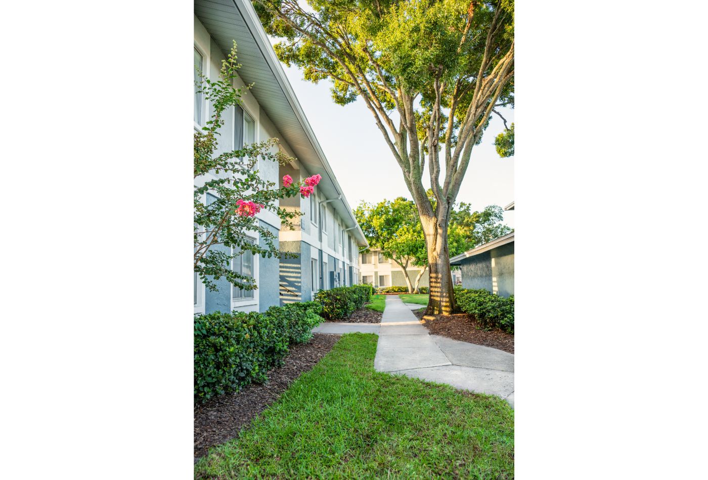 The Palms at Countryside Apartments Image 17