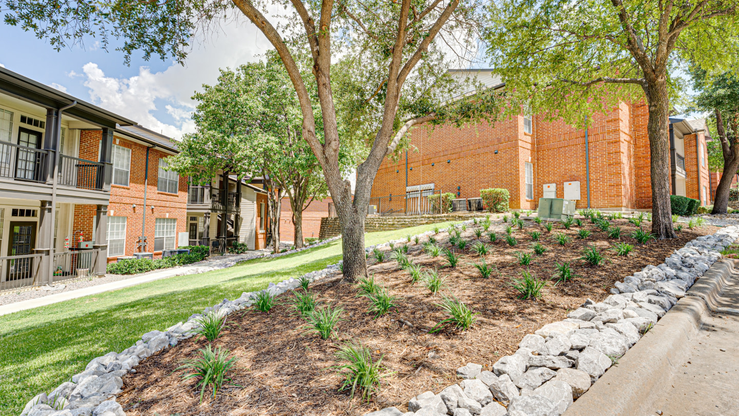 Mason Image 6