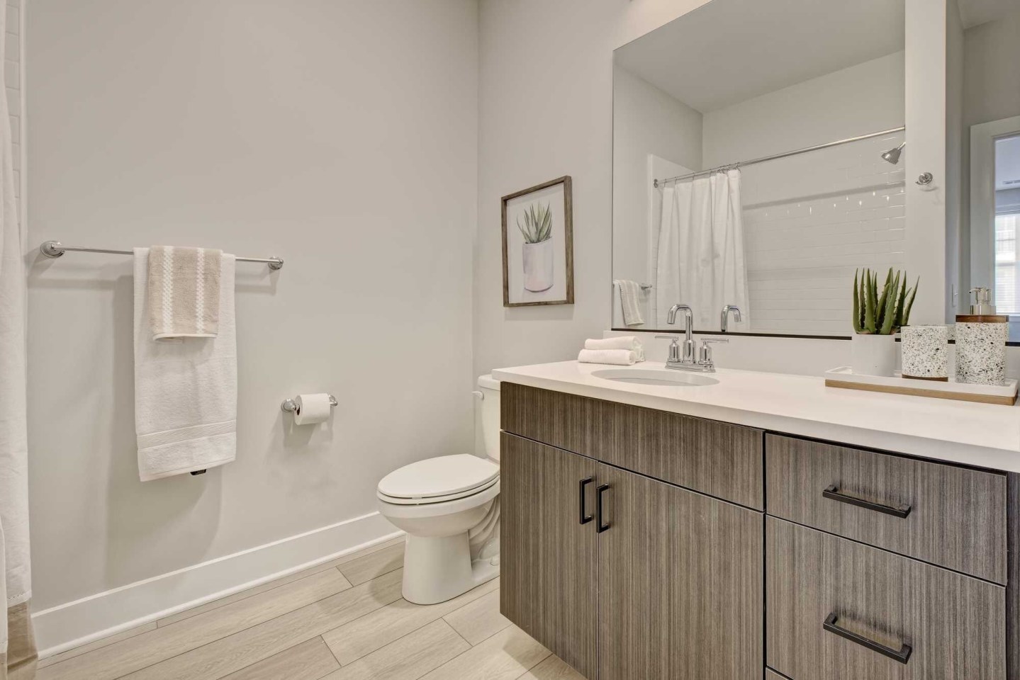 Tellus Bloom Apartment Homes Image 10