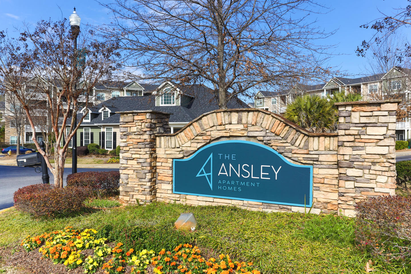 The Ansley Image 30